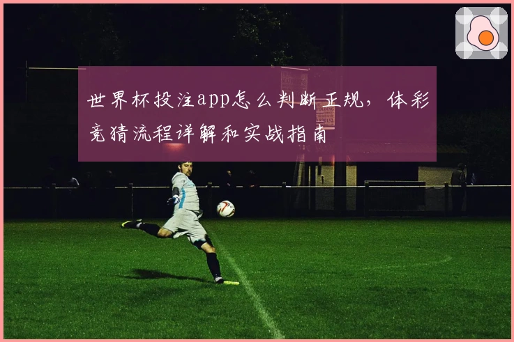 世界杯投注app怎么判断正规,体彩竞猜流程详解和实战指南