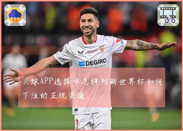 买球APP选择中怎样判断世界杯如何下注的正规渠道
