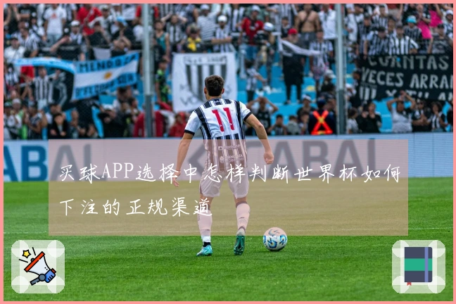 买球APP选择中怎样判断世界杯如何下注的正规渠道
