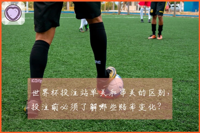 世界杯投注站单关和串关的区别，投注前必须了解哪些赔率变化？