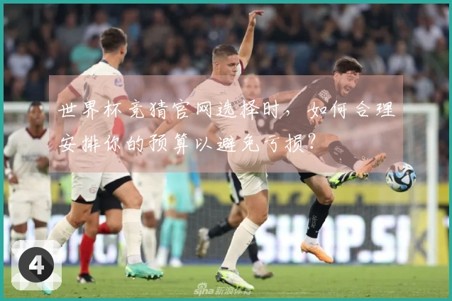 世界杯竞猜官网选择时，如何合理安排你的预算以避免亏损？