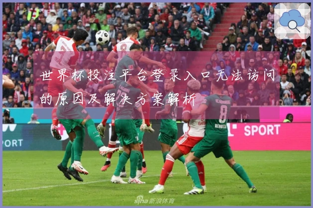 世界杯投注平台登录入口无法访问的原因及解决方案解析