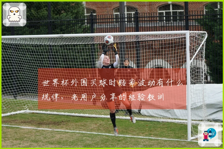 世界杯外围买球时赔率波动有什么规律，老用户分享的经验教训
