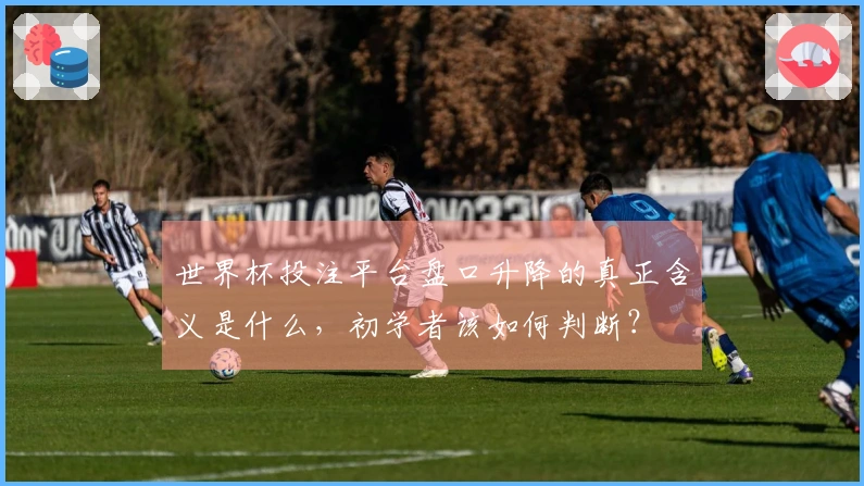 世界杯投注平台盘口升降的真正含义是什么，初学者该如何判断？