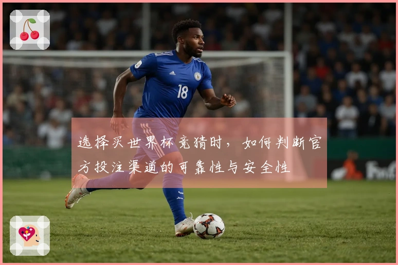 选择买世界杯竞猜时，如何判断官方投注渠道的可靠性与安全性