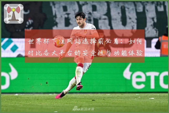 世界杯下注网站选择前必看：如何对比各大平台的安全性与功能体验？