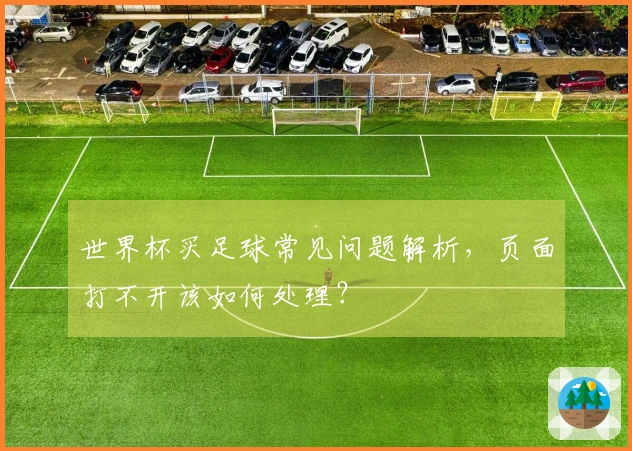 世界杯买足球常见问题解析，页面打不开该如何处理？