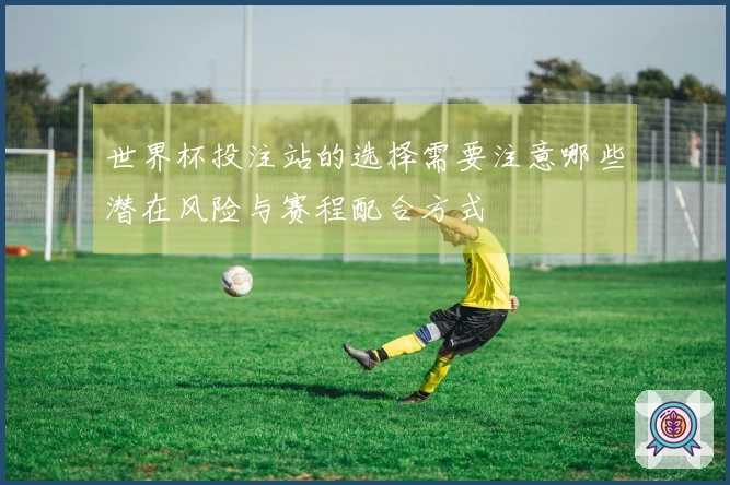 世界杯投注站的选择需要注意哪些潜在风险与赛程配合方式