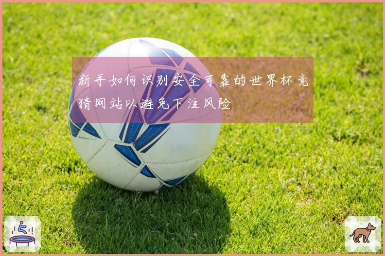新手如何识别安全可靠的世界杯竞猜网站以避免下注风险