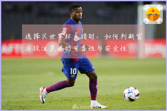 选择买世界杯竞猜时,如何判断官方投注渠道的可靠性与安全性