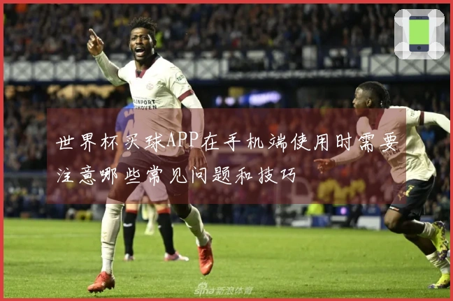 世界杯买球APP在手机端使用时需要注意哪些常见问题和技巧
