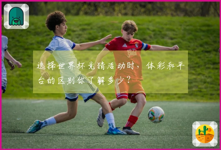 选择世界杯竞猜活动时，体彩和平台的区别你了解多少？