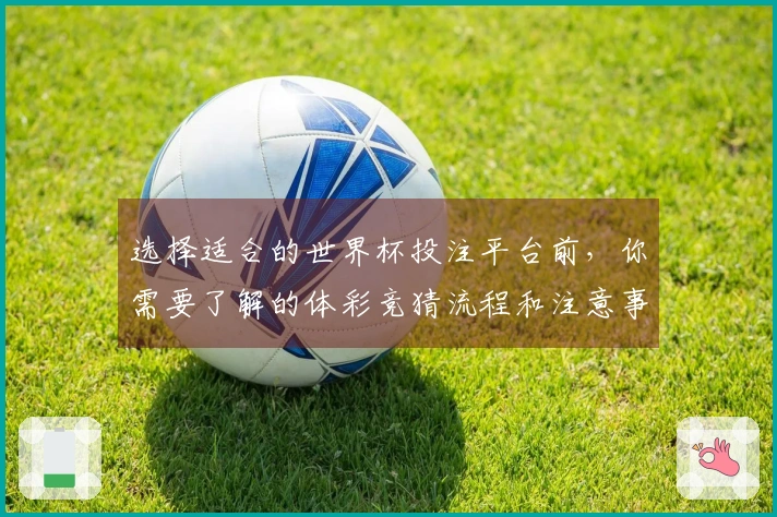 选择适合的世界杯投注平台前，你需要了解的体彩竞猜流程和注意事项