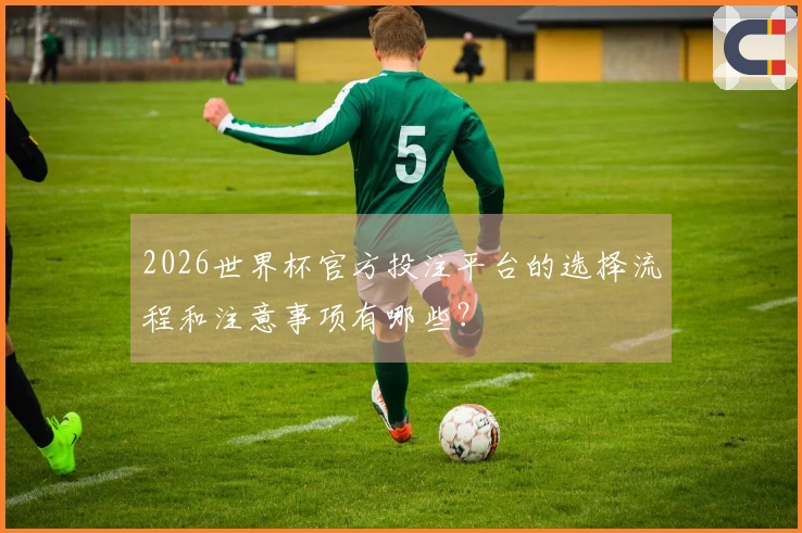 2026世界杯官方投注平台的选择流程和注意事项有哪些？